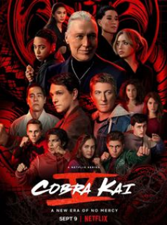 Cobra Kai saison 5 poster
