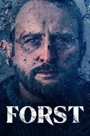 Detective Forst saison 1 poster