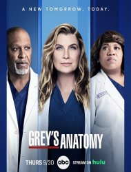 Grey’s Anatomy saison 20 poster