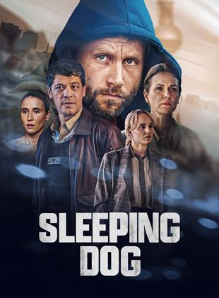 Sleeping Dog saison 1 poster