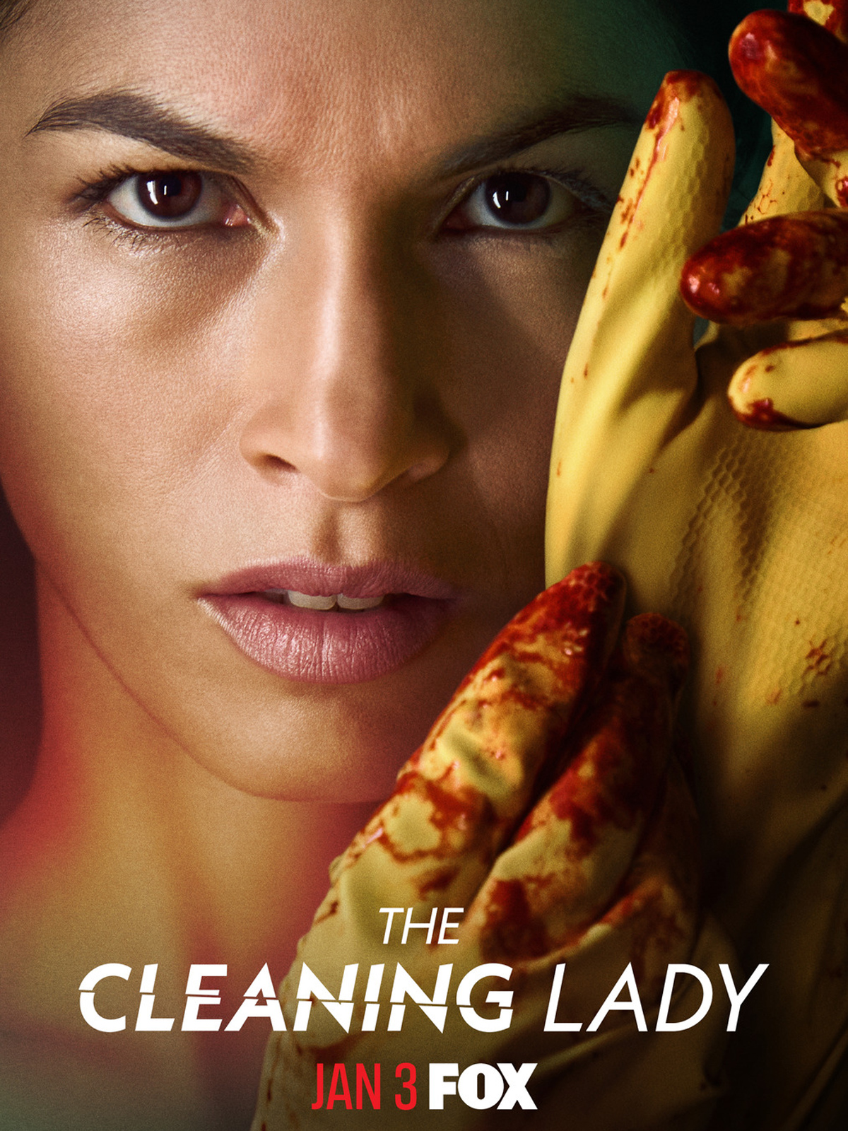 The Cleaning Lady saison 2 poster